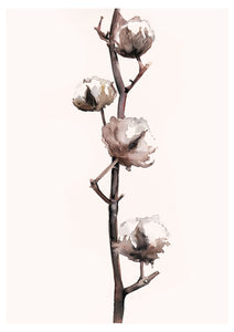 Cotton Plant Watercolour Print - About Face Illustration