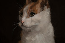 Cat portrait on a round canvas - About Face Illustration
