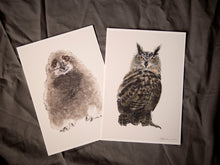 Eagle Owl print - About Face Illustration