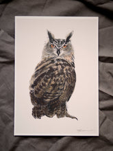Eagle Owl print - About Face Illustration