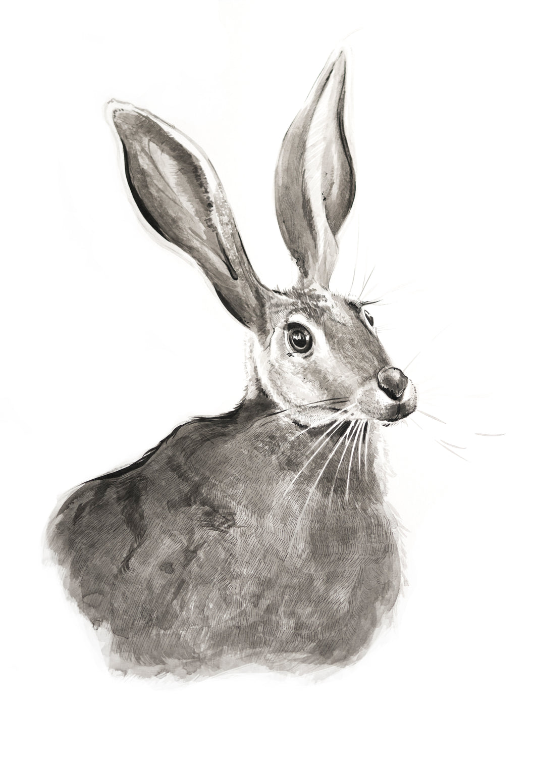 Hare print - About Face Illustration