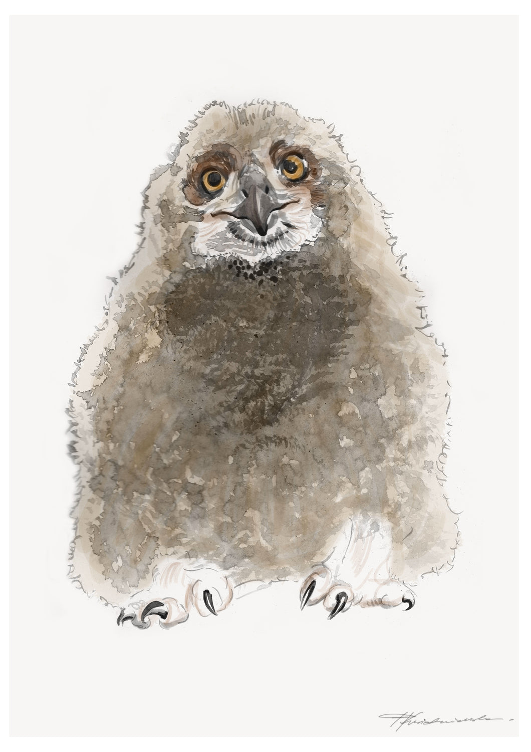 Baby Eagle Owl print - About Face Illustration